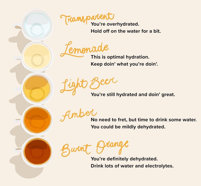 Checking urine color for hydration status