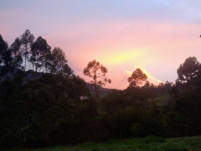 Tranquil moment of rain in Colombia