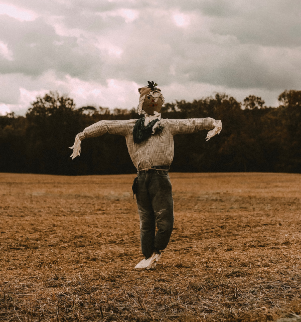 Image of a scarecrow in a field