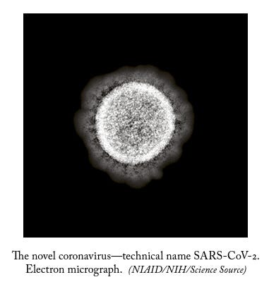 Diagram of viral interactions