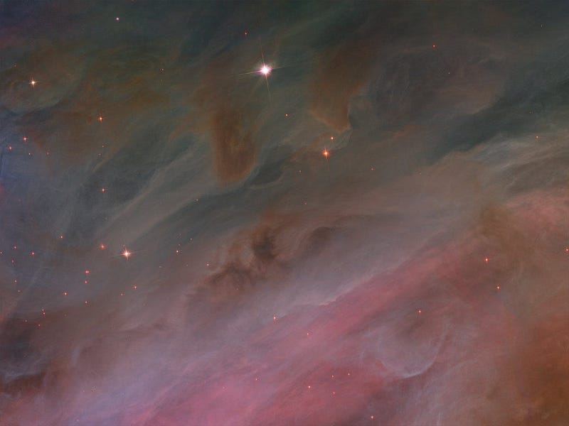 Young stars shine in the Orion Nebula, surrounded by gas.