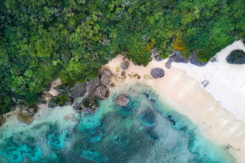 Okinawa's lush landscapes as a source of vitality