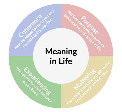 Visualization of the four components of meaning