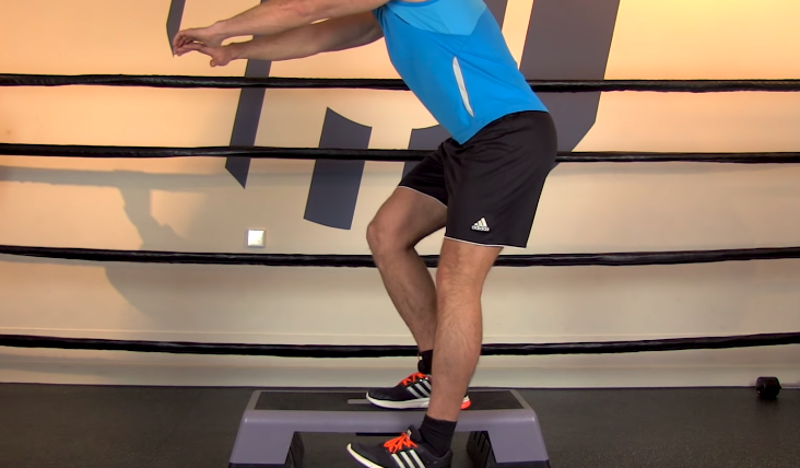 Modified Single Leg Squat Exercise Demonstration