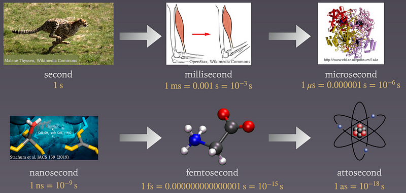 Time scales from seconds to attoseconds in molecular motion.