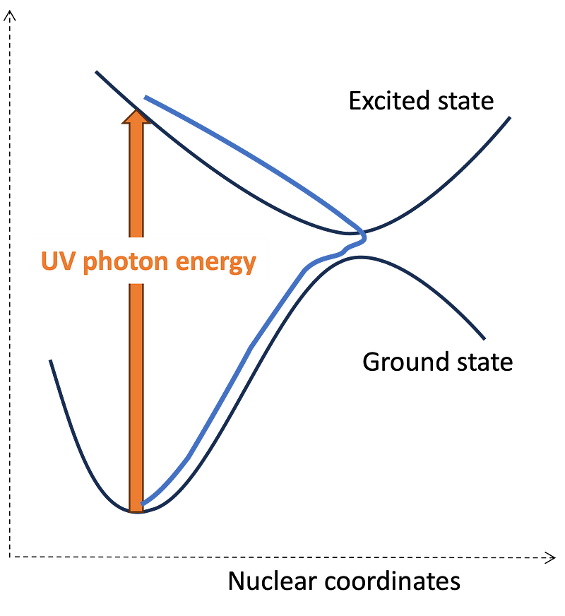 Representation of a molecule absorbing a UV photon.