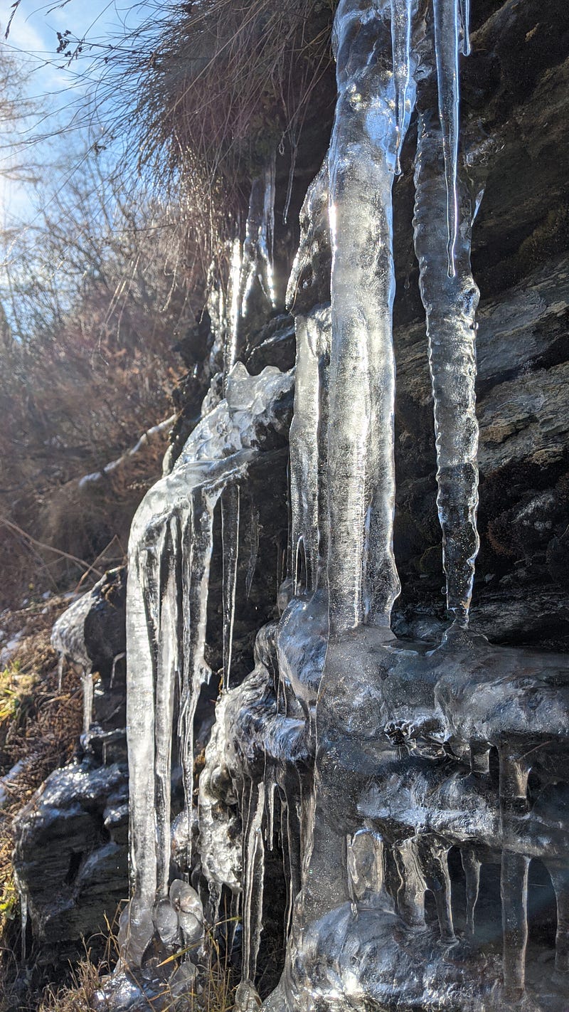 The glacier's impressive white facade