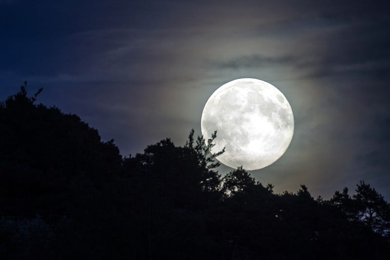 A visual representation of the Moon's illumination and tides.