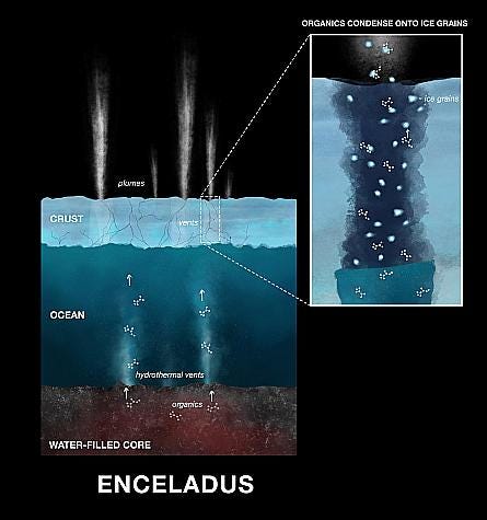 Mechanism of organic material rise on Enceladus