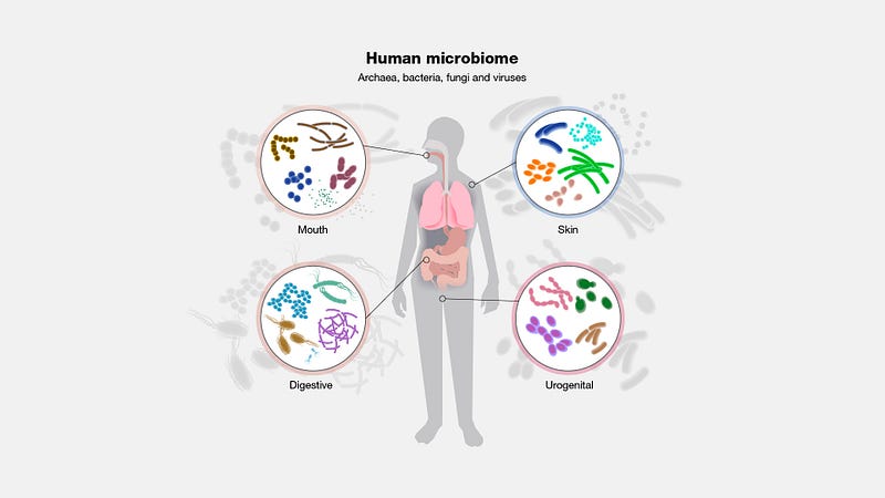 Taphonomic Processes