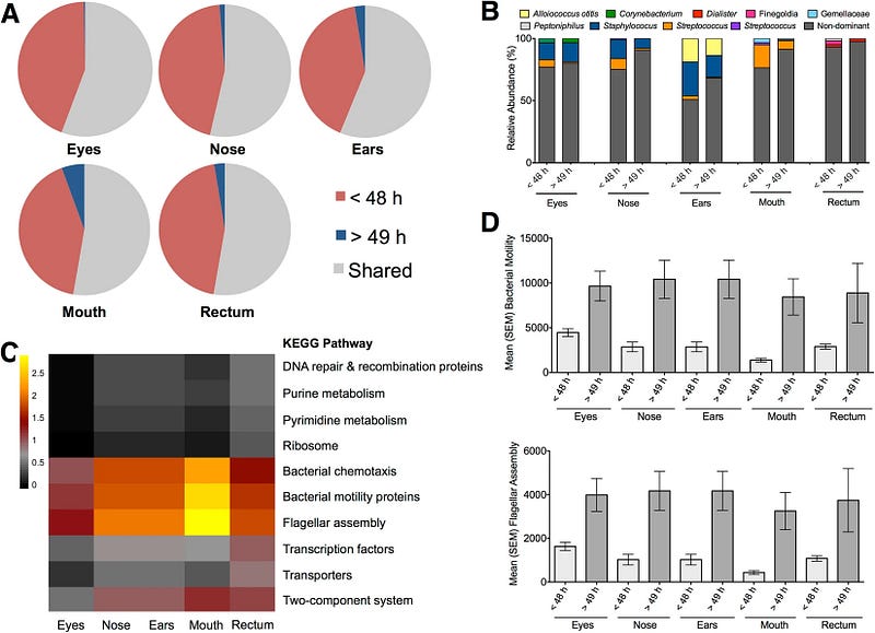 Microbial Community Profiles