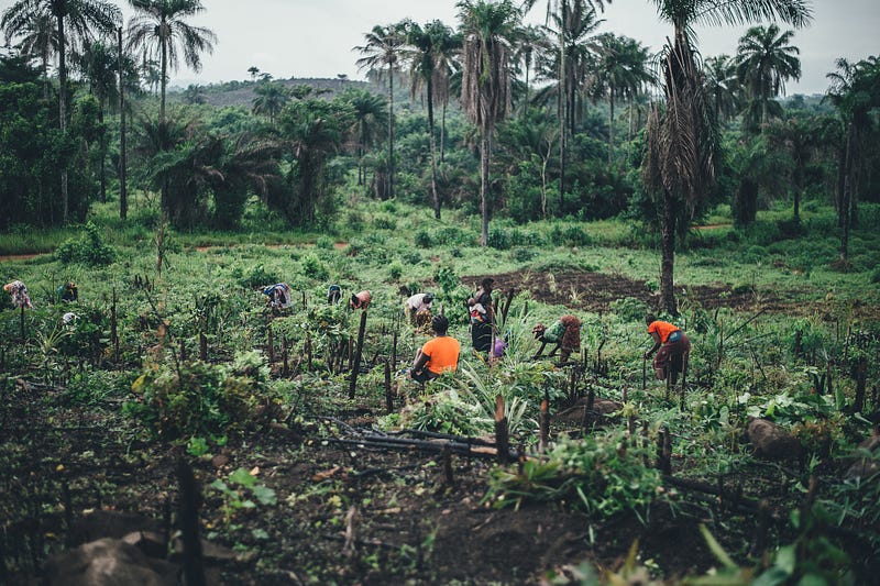 Understanding the intersection of technology and policy